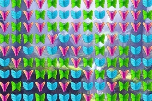 Színes pillangók többszínű sorokba rendezve egy misztikus, erdei háttér előtt