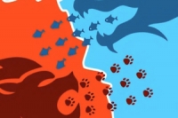 Conquer Us egy absztrakt, stratégiai puzzle játék