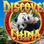 Óriáspandák bambuszt rágcsálnak a fűben egy kínai épület előtt, körülöttük Discover China felirat látható