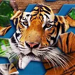 Tigris egyedi hatszögletű minták között, zöld és kék háttérrel
