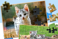 Jigsaw Puzzle Cats & Kittens egy érdekes kirakós játék.
