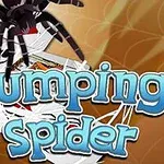 Egy fekete pók kártyák és a Jumping Spider felirat előtt barna háttérrel