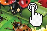 Teszteld az ügyességed!