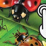 Katicabogarak, fekete bogarak és zöld rovarok láthatók egy lombozaton, mellettük egy nagy, kattintást ábrázoló kéz ikon