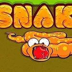 Játssz a klasszikus Snake színes változatával!