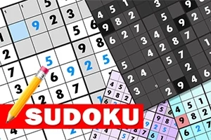 A Sudoku Deluxe minden játékosnak szól: kezdőktől a haladókig.